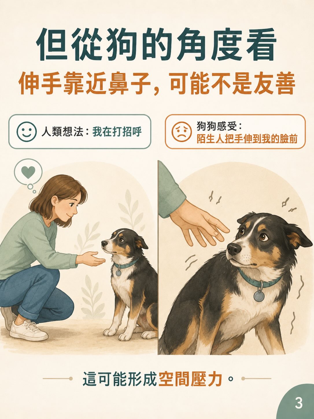 你以為是在打招呼，在狗狗眼中可能是在施加壓力圖卡 3