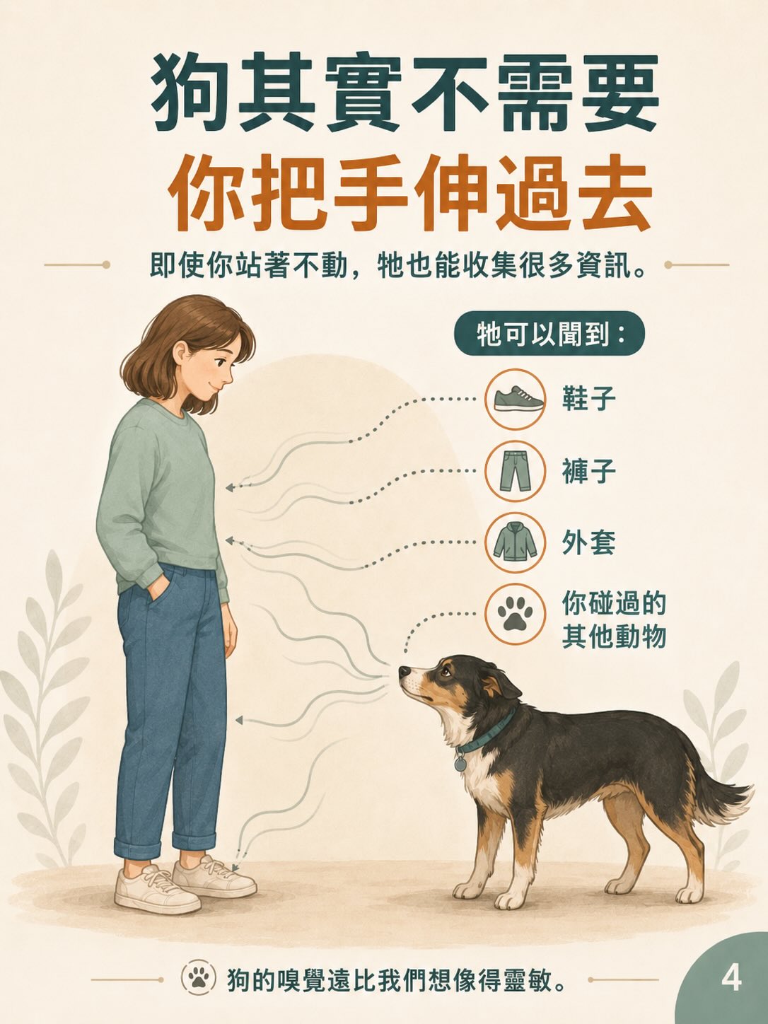 你以為是在打招呼，在狗狗眼中可能是在施加壓力圖卡 4