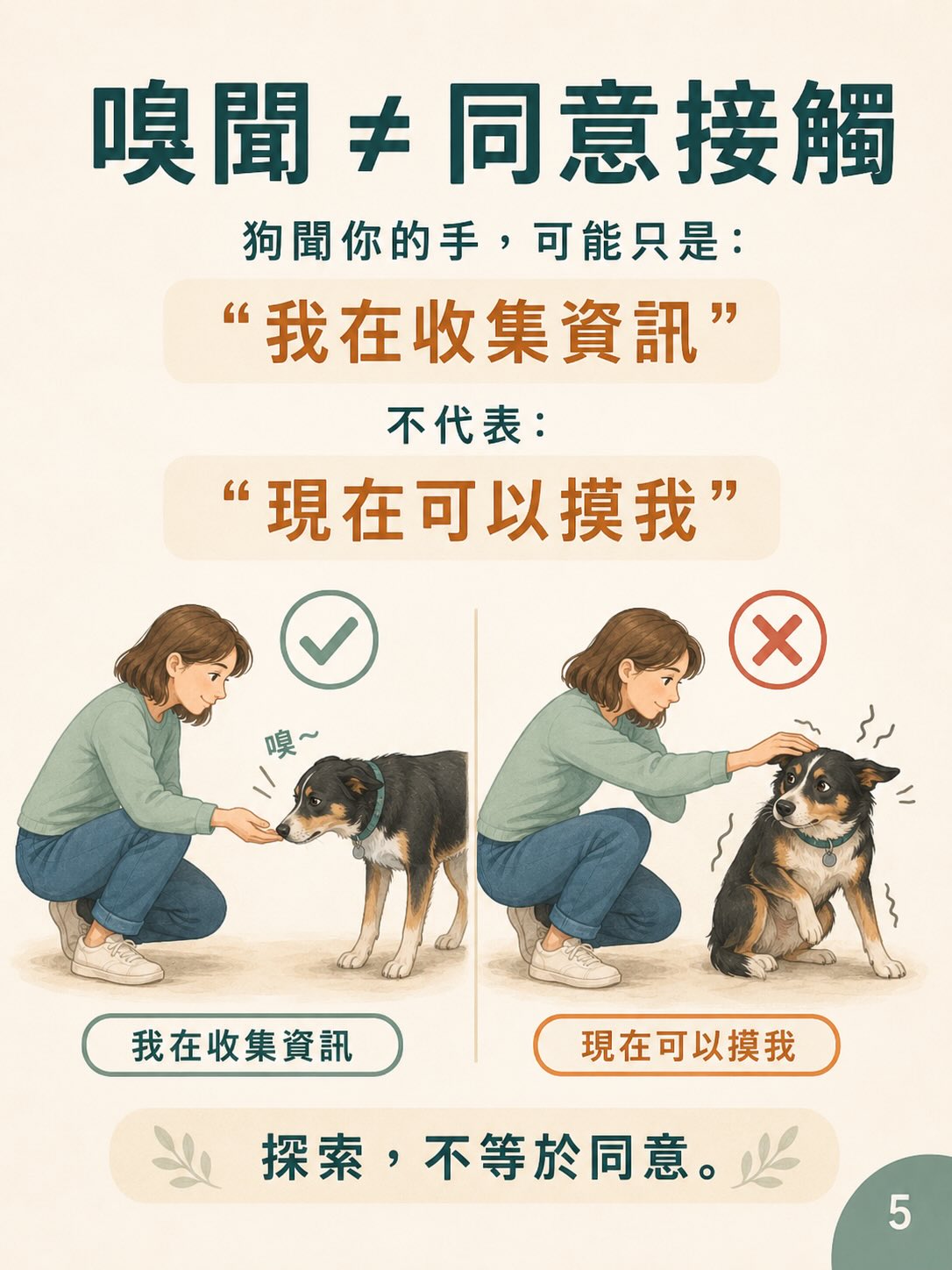 你以為是在打招呼，在狗狗眼中可能是在施加壓力圖卡 5