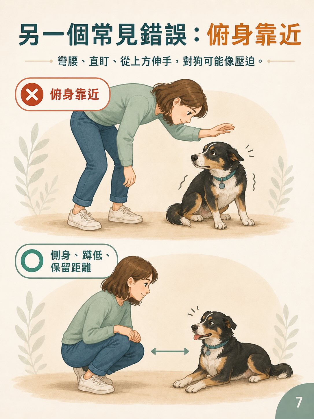 你以為是在打招呼，在狗狗眼中可能是在施加壓力圖卡 7