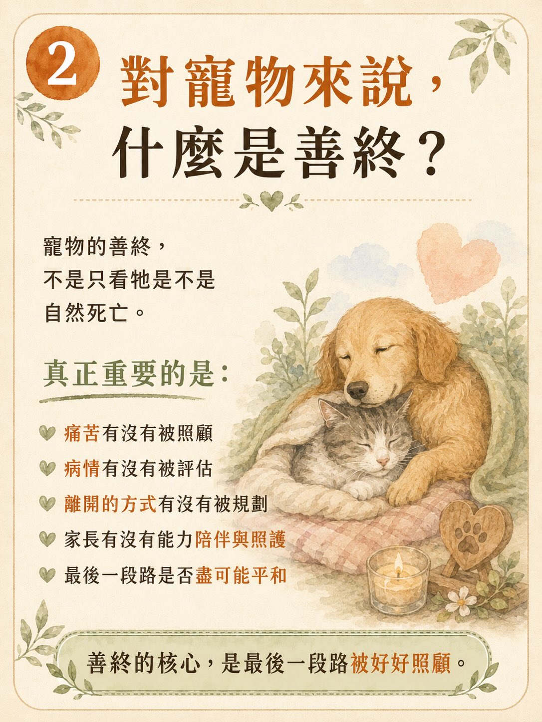 「斷食善終」不等於寵物的善終圖卡 2