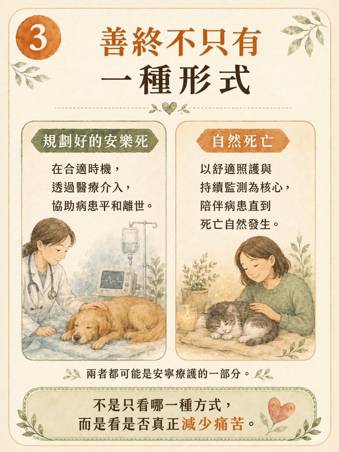 「斷食善終」不等於寵物的善終圖卡 3