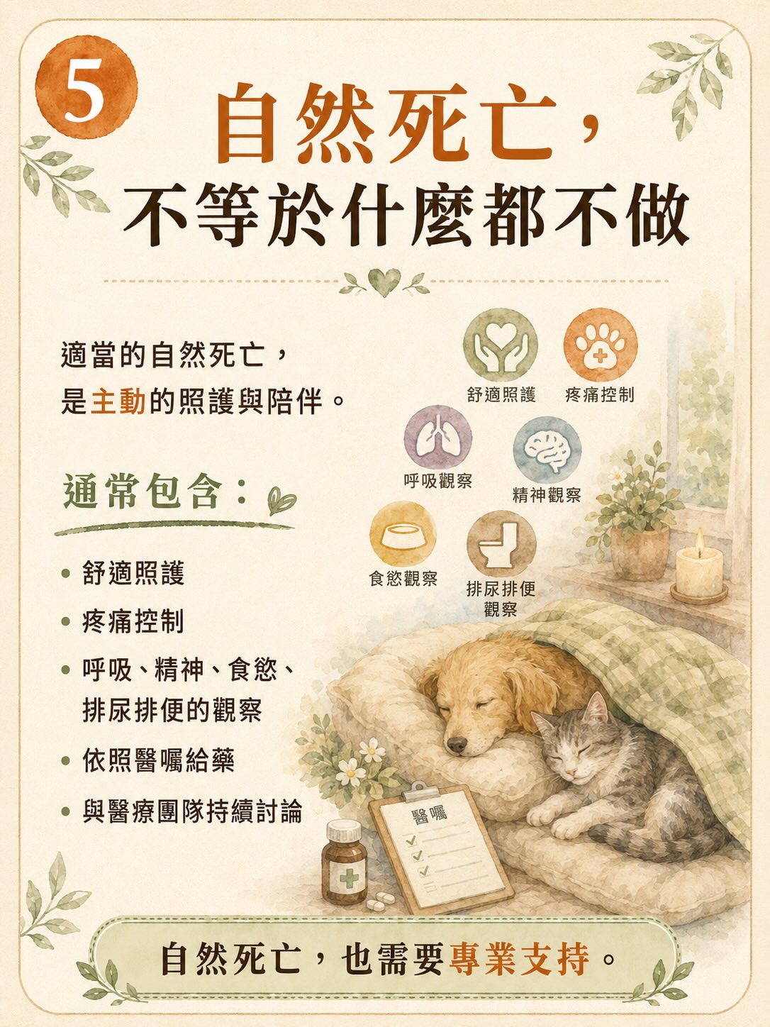 「斷食善終」不等於寵物的善終圖卡 5