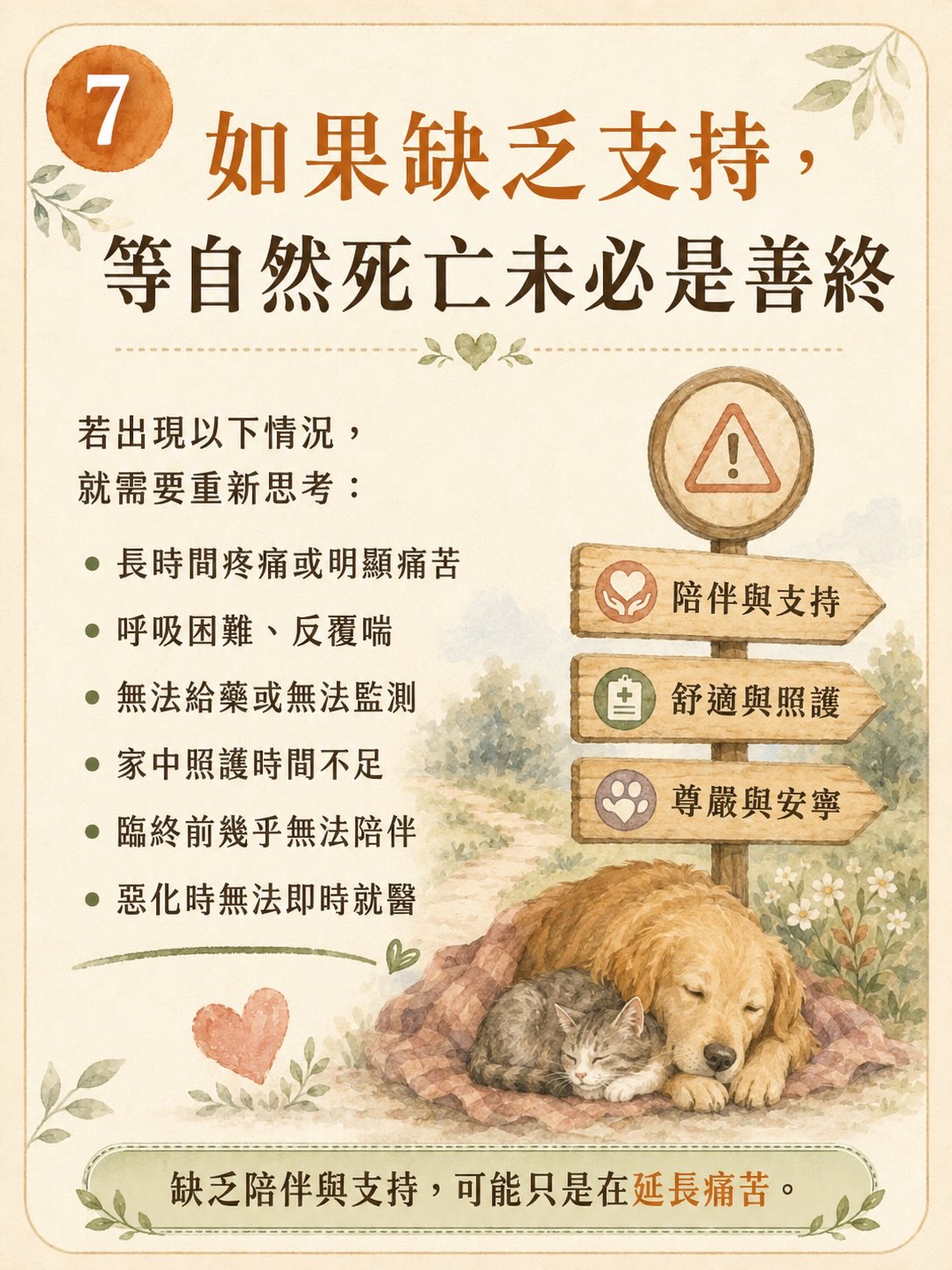 「斷食善終」不等於寵物的善終圖卡 7