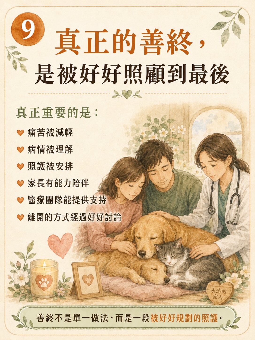 「斷食善終」不等於寵物的善終圖卡 9