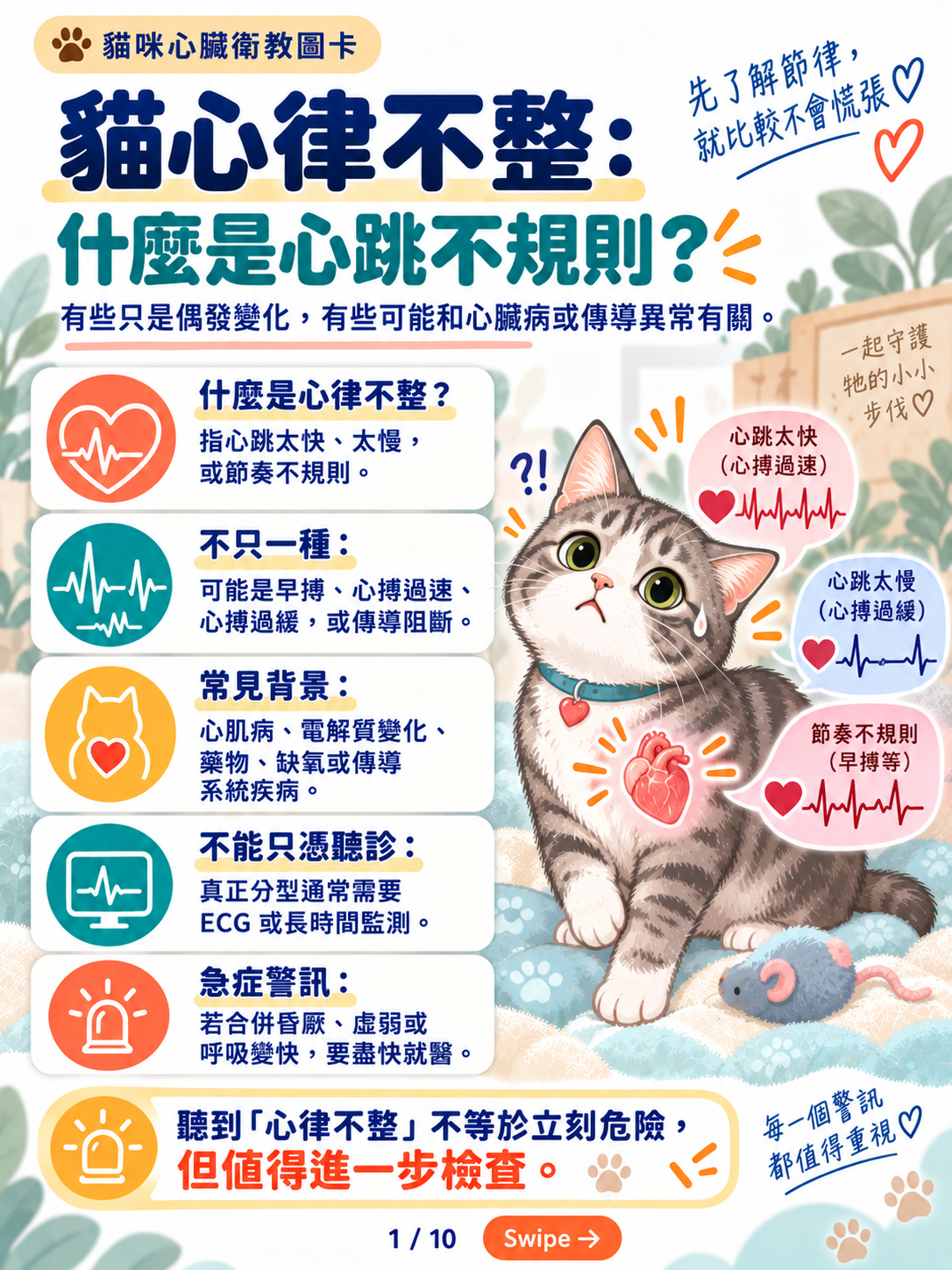 貓心律不整|心電圖與長時間監測封面圖卡