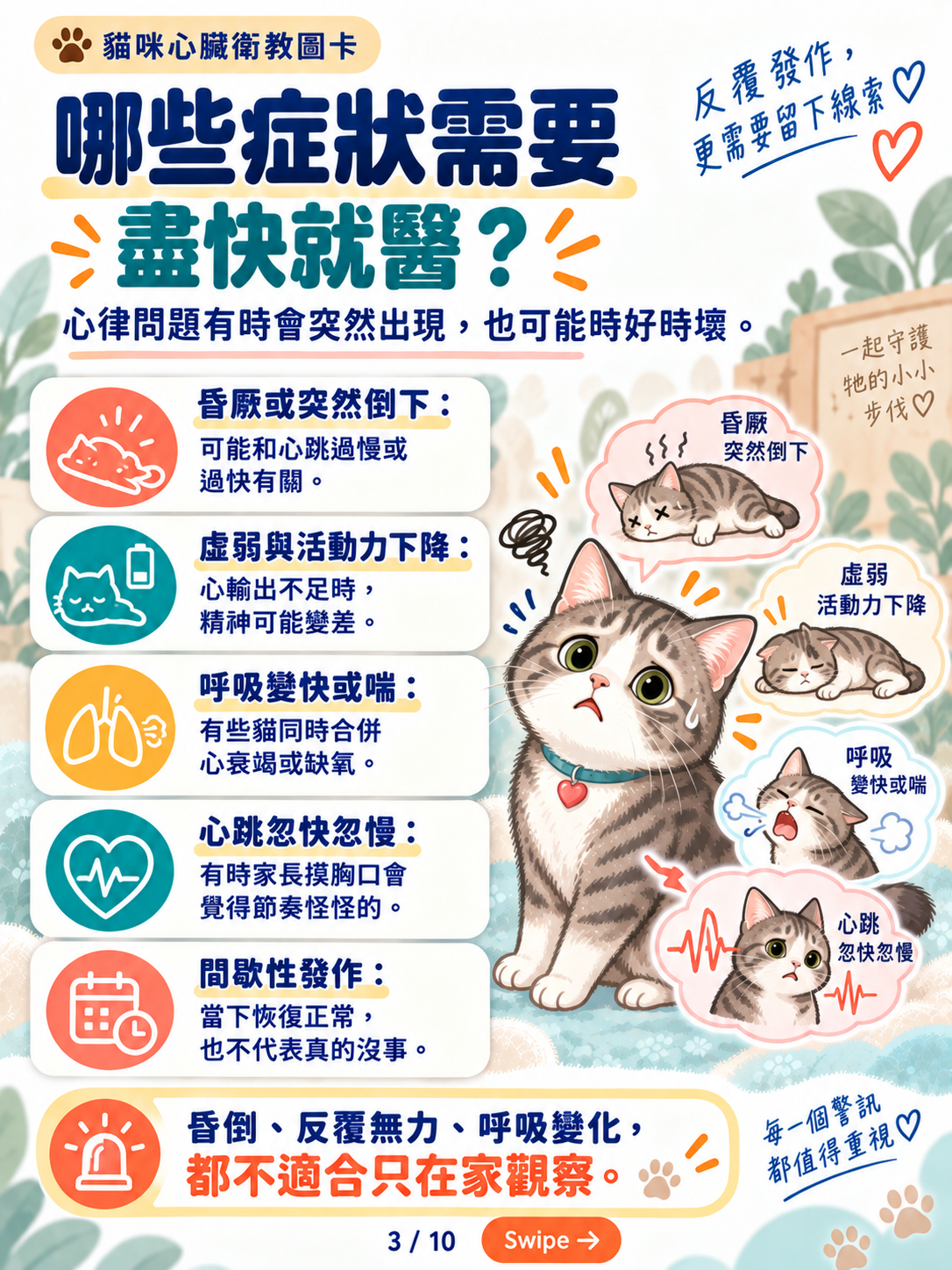 貓心律不整｜心電圖與長時間監測，第 3 張：哪些症狀需要盡快就醫