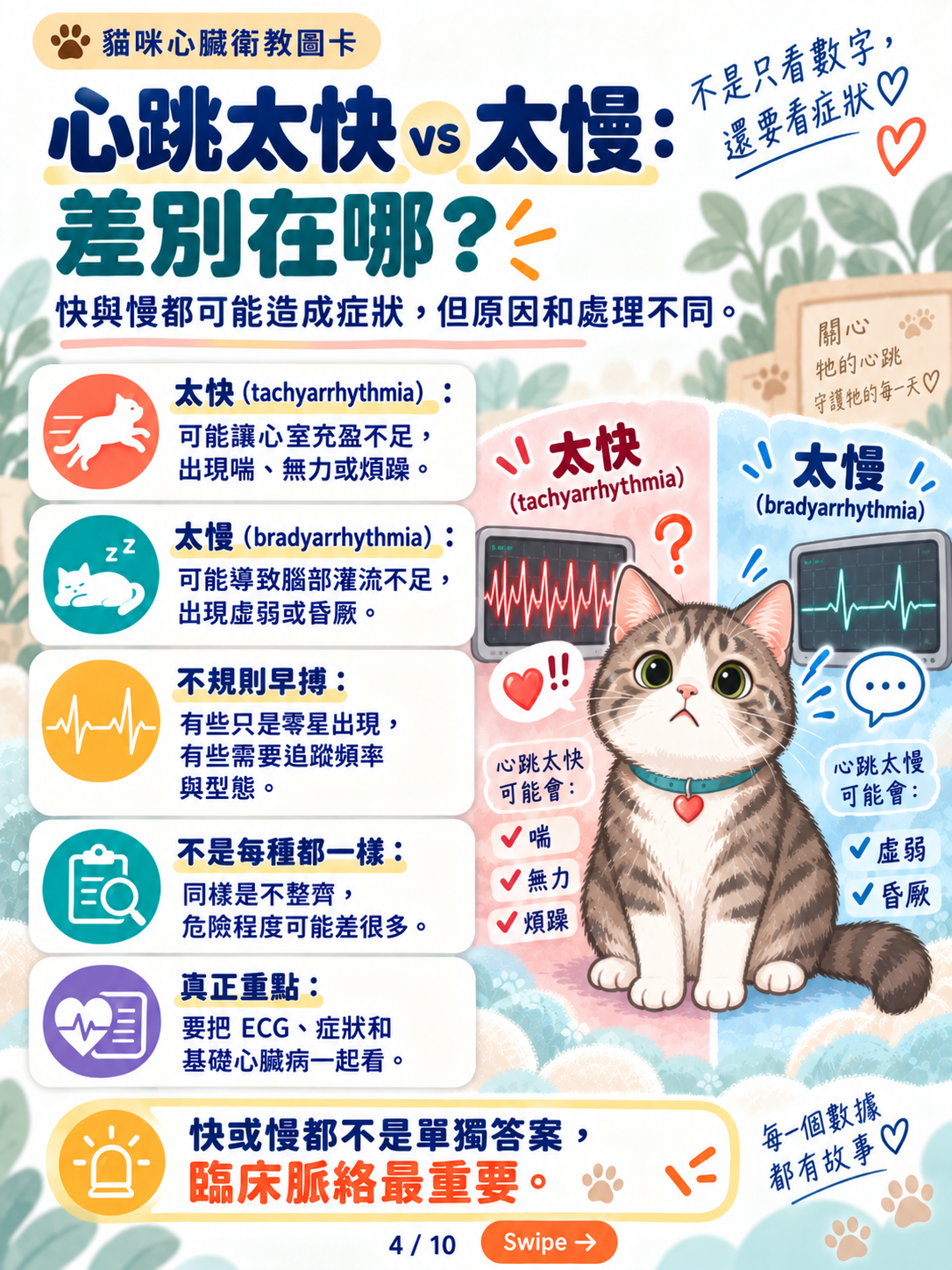貓心律不整｜心電圖與長時間監測，第 4 張：心跳太快與太慢差別在哪