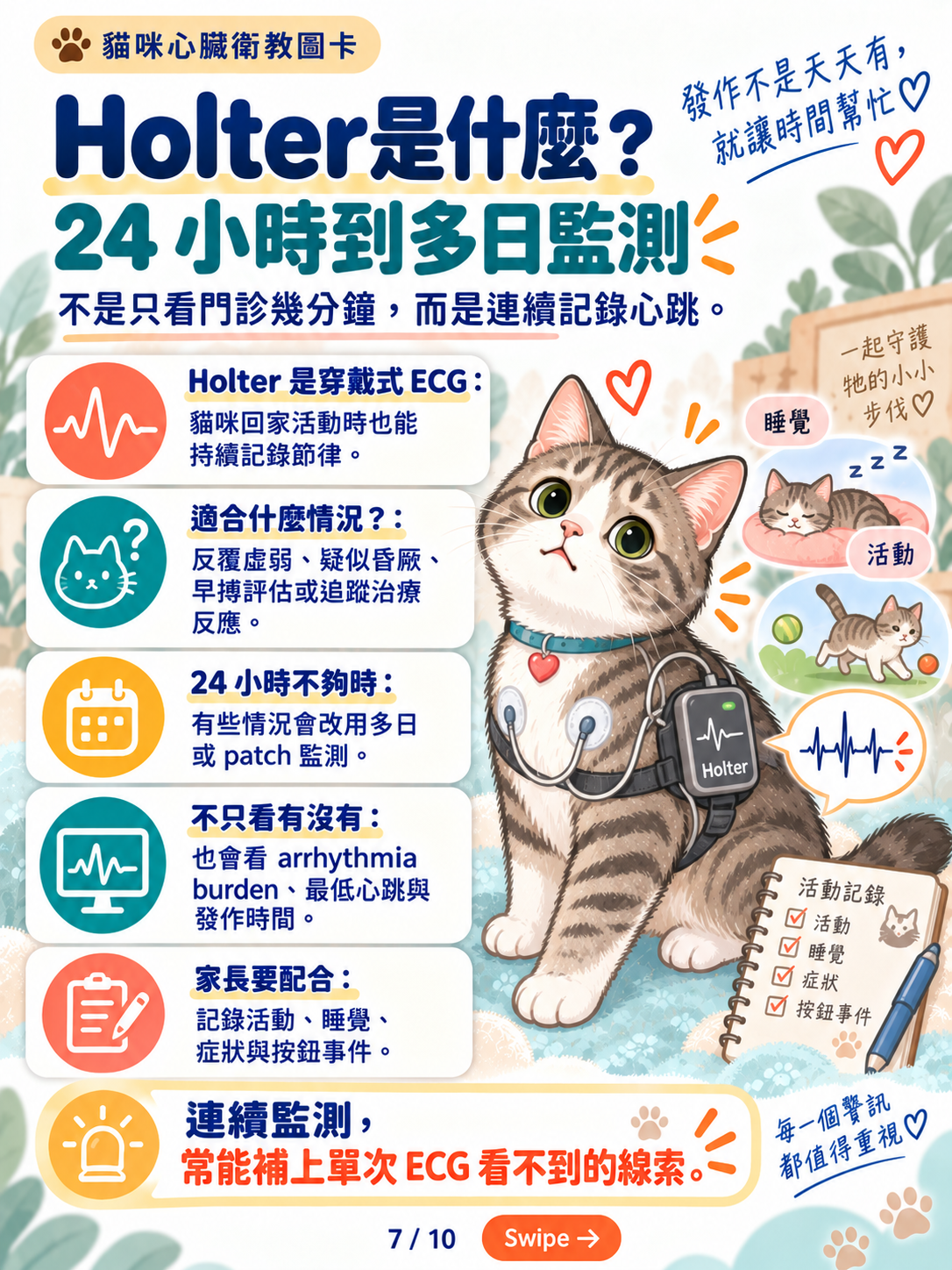 貓心律不整｜心電圖與長時間監測，第 7 張：Holter24小時到多日監測