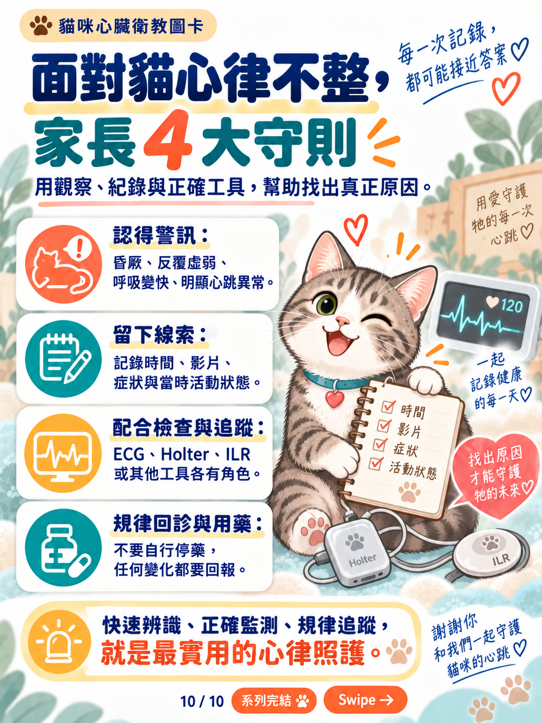 貓心律不整｜心電圖與長時間監測，第 10 張：面對貓心律不整家長四大守則
