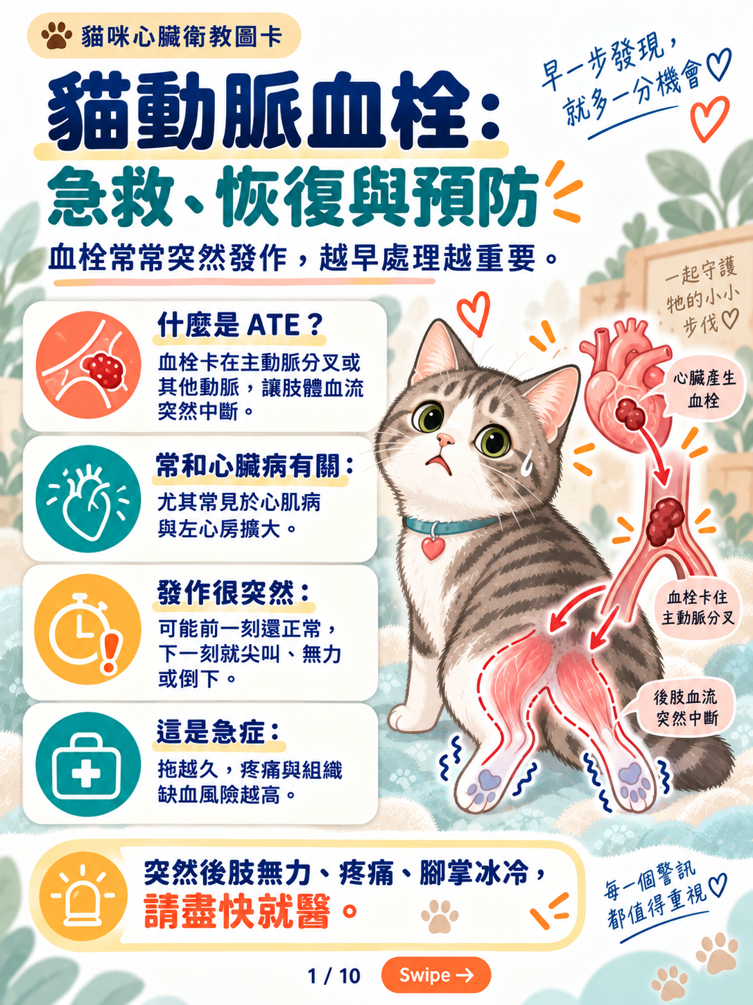 貓動脈血栓|急救、恢復與預防封面圖卡