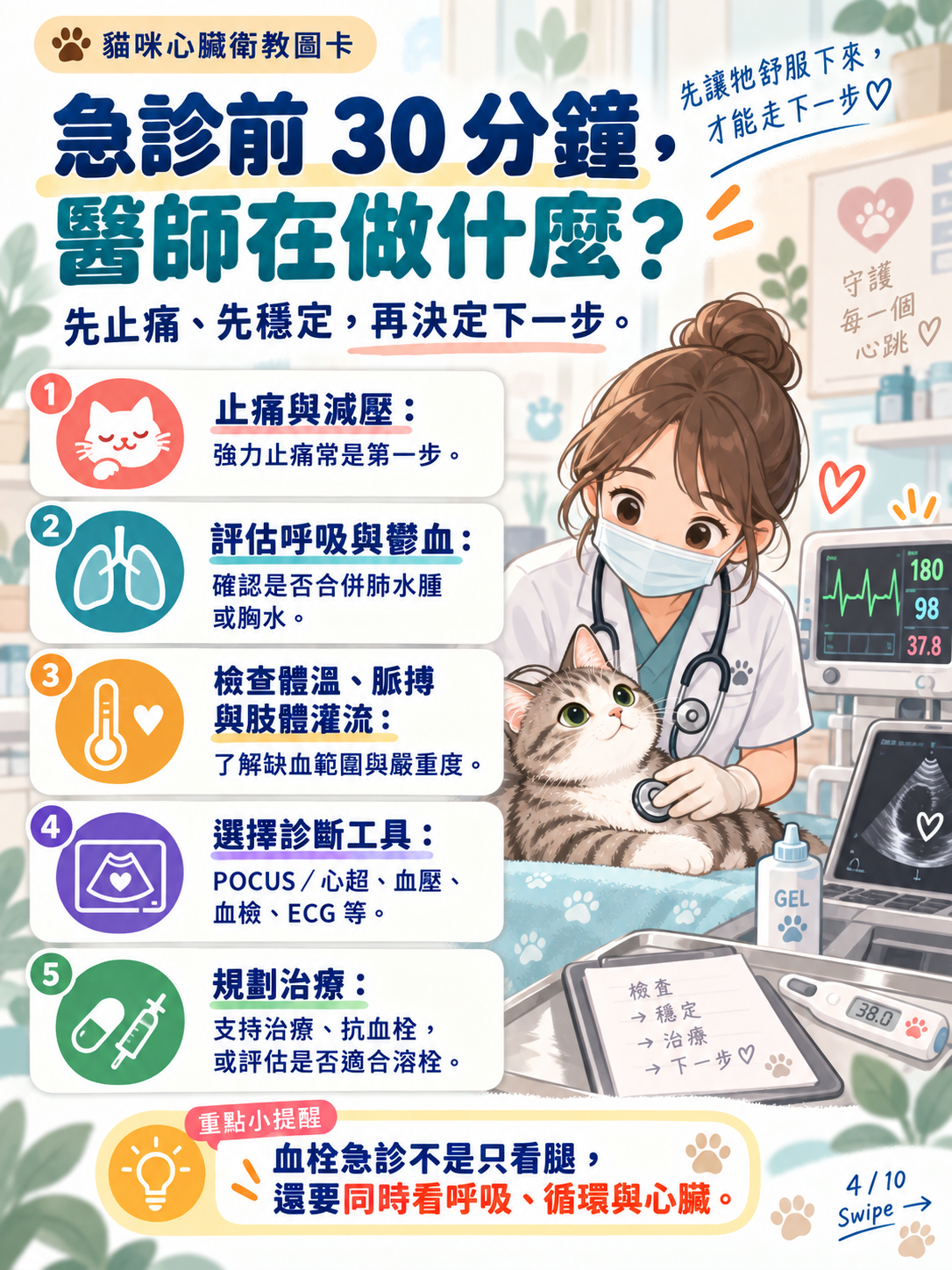 貓動脈血栓｜急救、恢復與預防，第 4 張：急診前30分鐘醫師在做什麼
