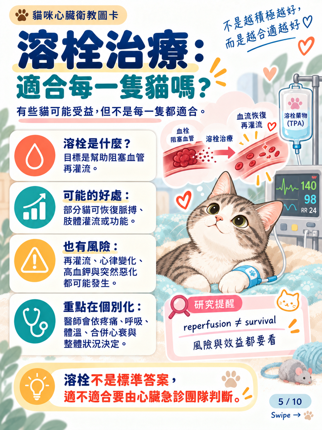 貓動脈血栓｜急救、恢復與預防，第 5 張：溶栓治療適合每一隻貓嗎