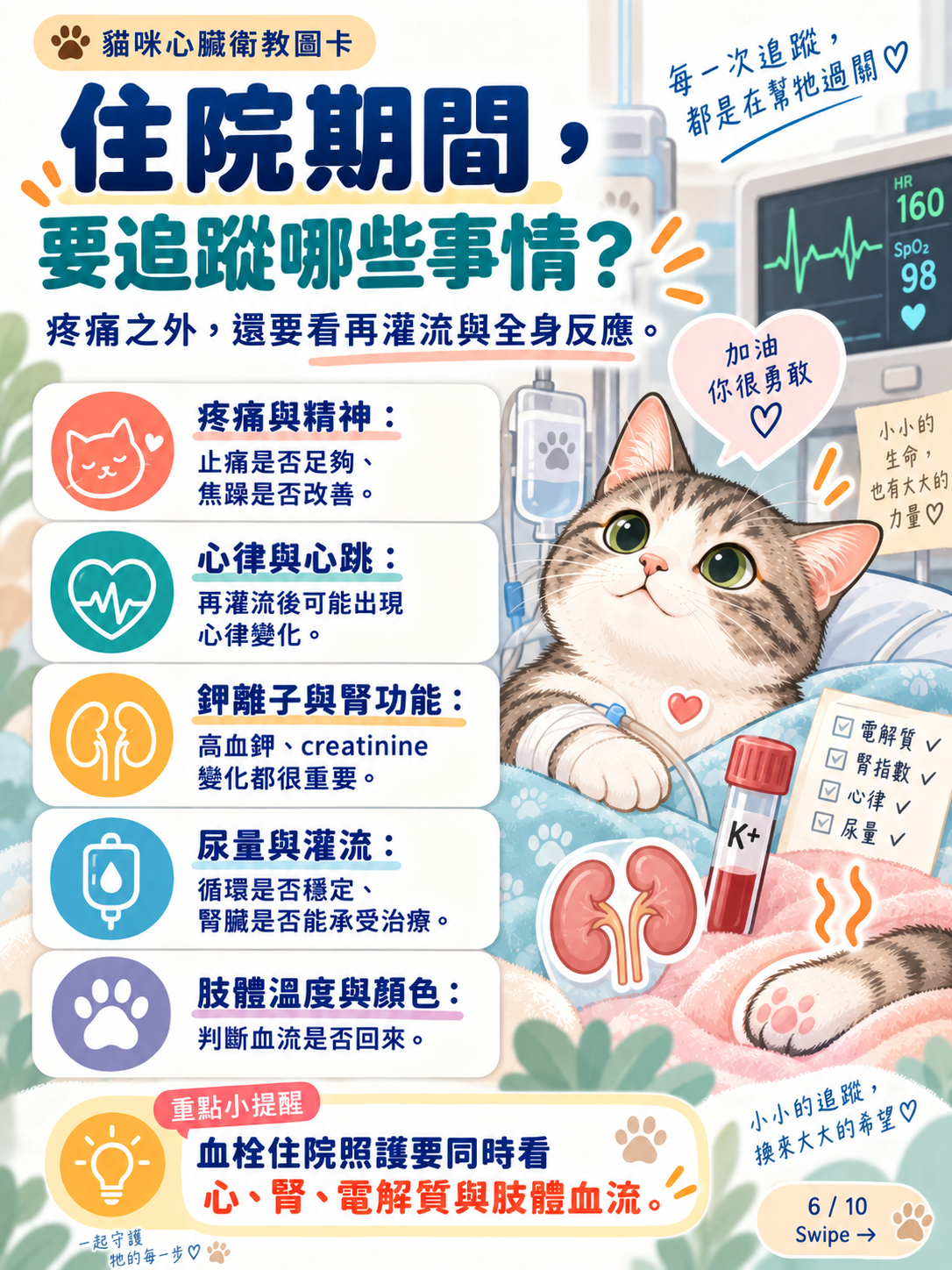 貓動脈血栓｜急救、恢復與預防，第 6 張：住院期間要追蹤哪些事情
