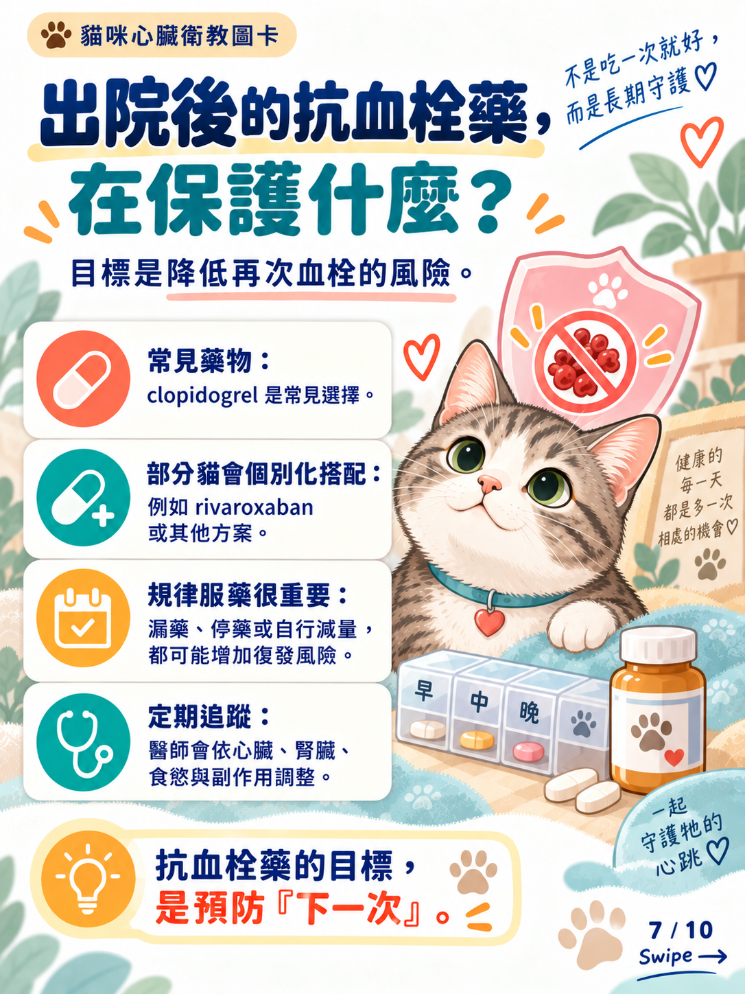 貓動脈血栓｜急救、恢復與預防，第 7 張：出院後的抗血栓藥在保護什麼