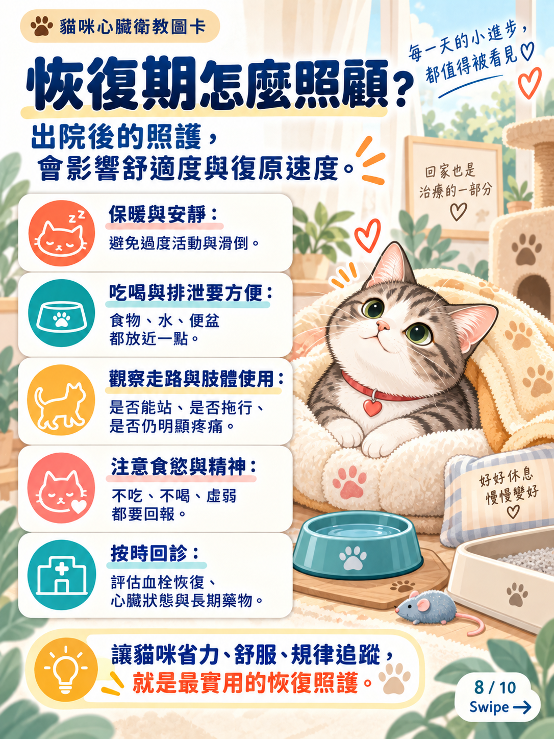貓動脈血栓｜急救、恢復與預防，第 8 張：恢復期怎麼照顧