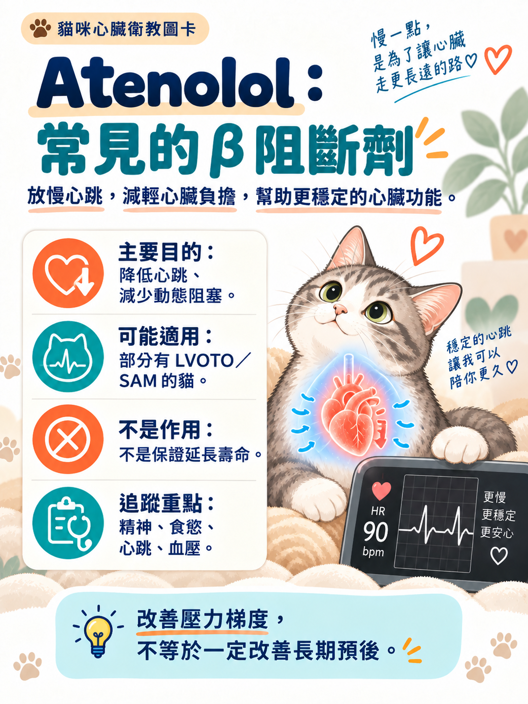 貓心臟用藥｜為什麼處方不一樣？，第 3 張：Atenolol常見的β阻斷劑
