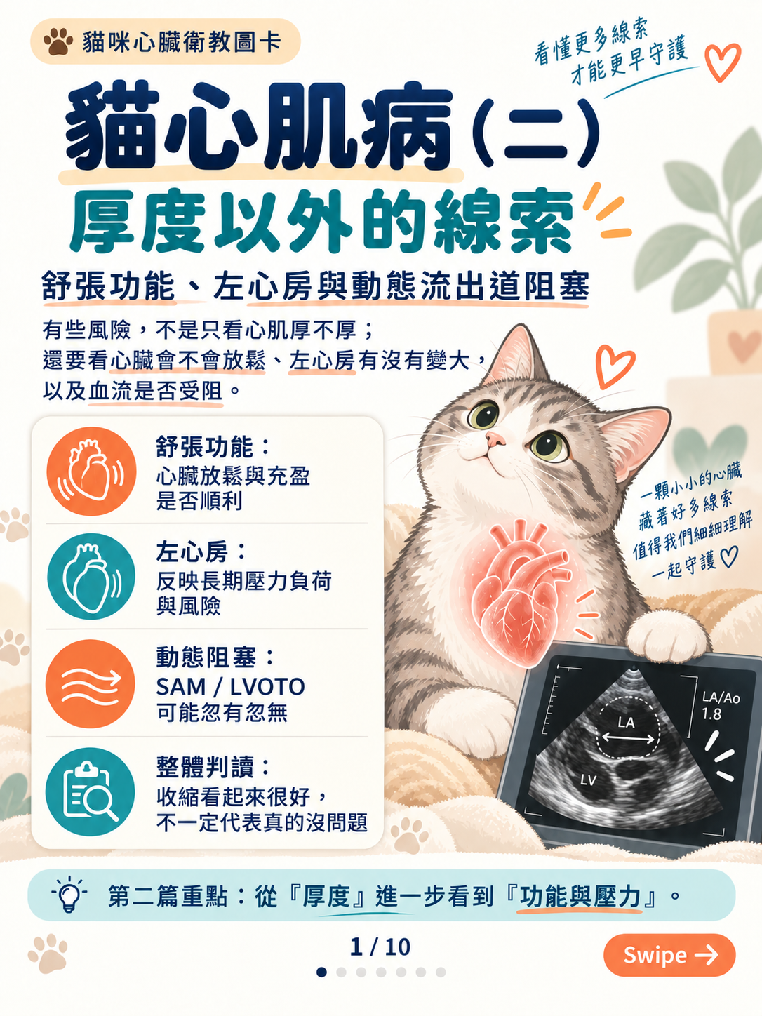 貓心肌病(二)|厚度以外的線索封面圖卡