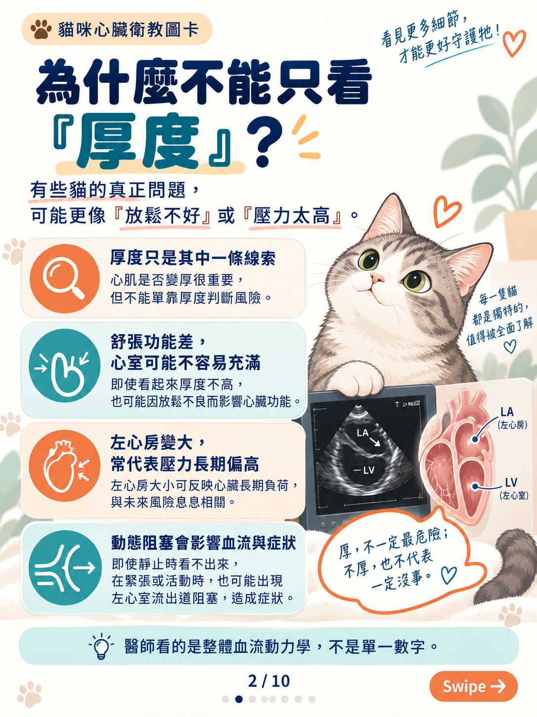 貓心肌病（二）｜厚度以外的線索，第 2 張：貓咪心臟健康全解析