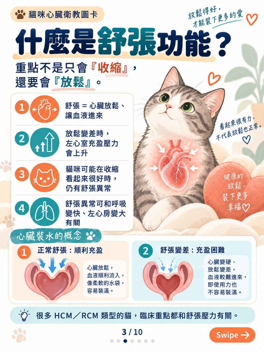 貓心肌病（二）｜厚度以外的線索，第 3 張：貓咪心臟舒張功能圖卡
