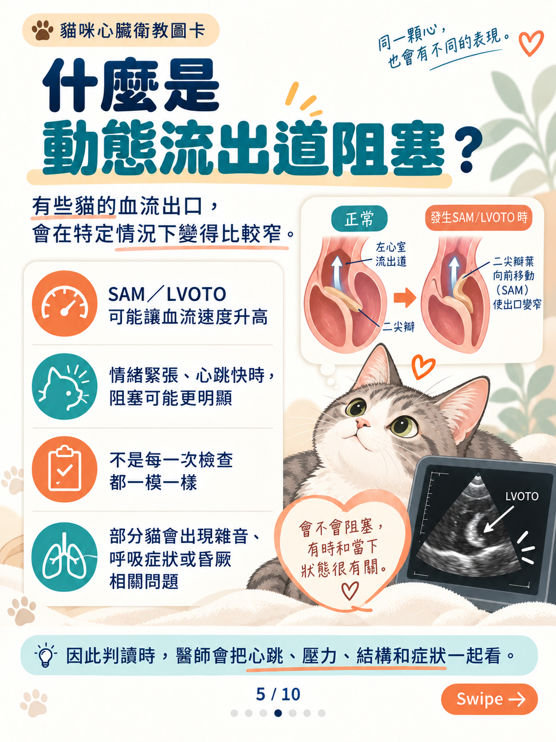 貓心肌病（二）｜厚度以外的線索，第 5 張：貓咪動態流出道阻塞圖卡