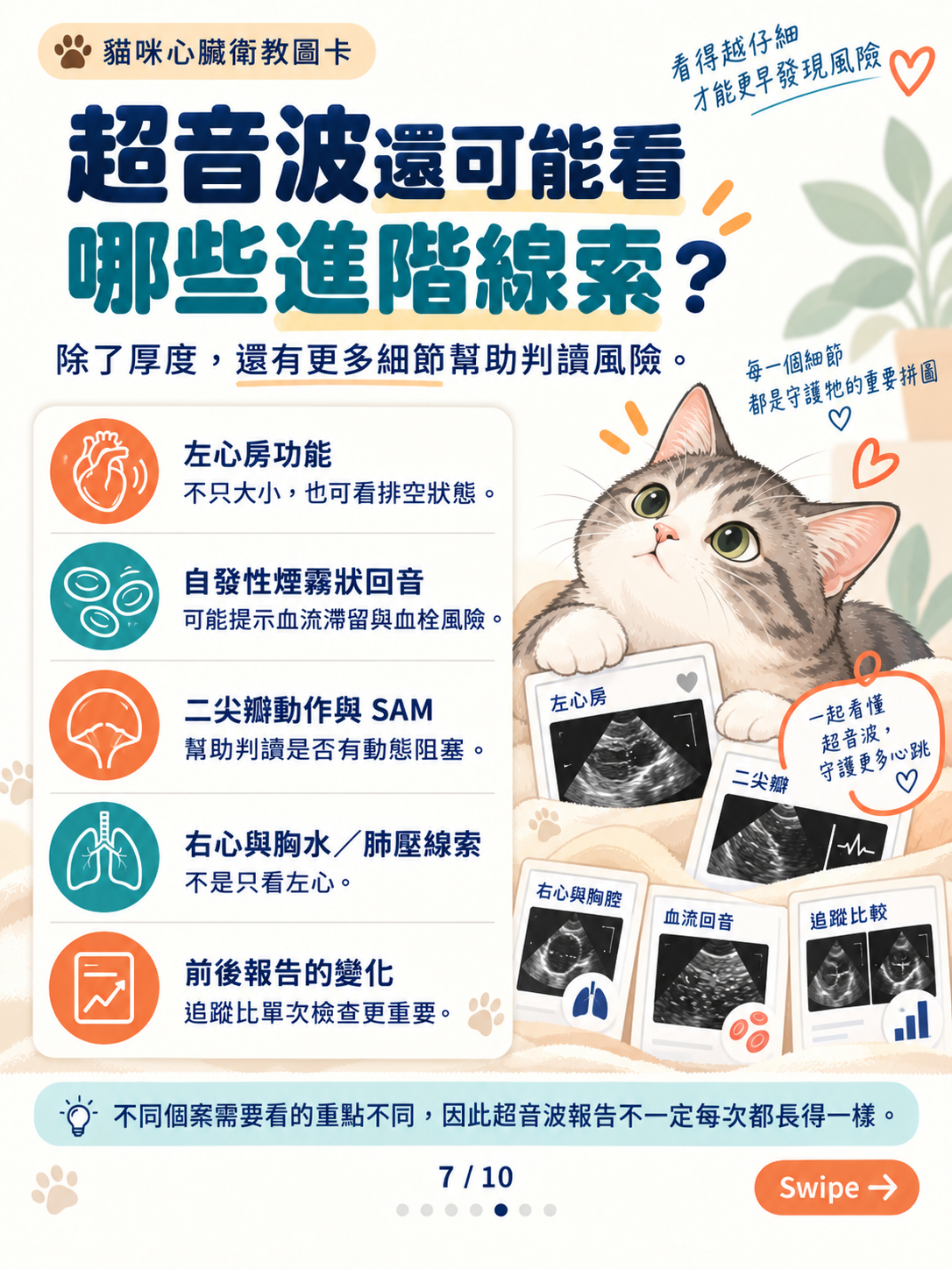 貓心肌病（二）｜厚度以外的線索，第 7 張：貓咪超音波進階線索圖卡