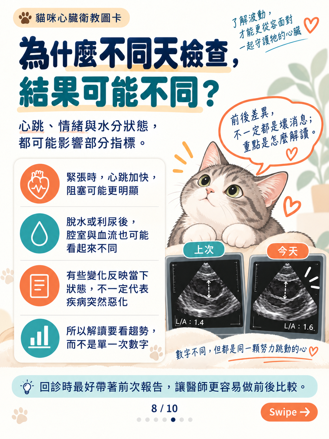 貓心肌病（二）｜厚度以外的線索，第 8 張：貓咪心臟檢查結果小指南