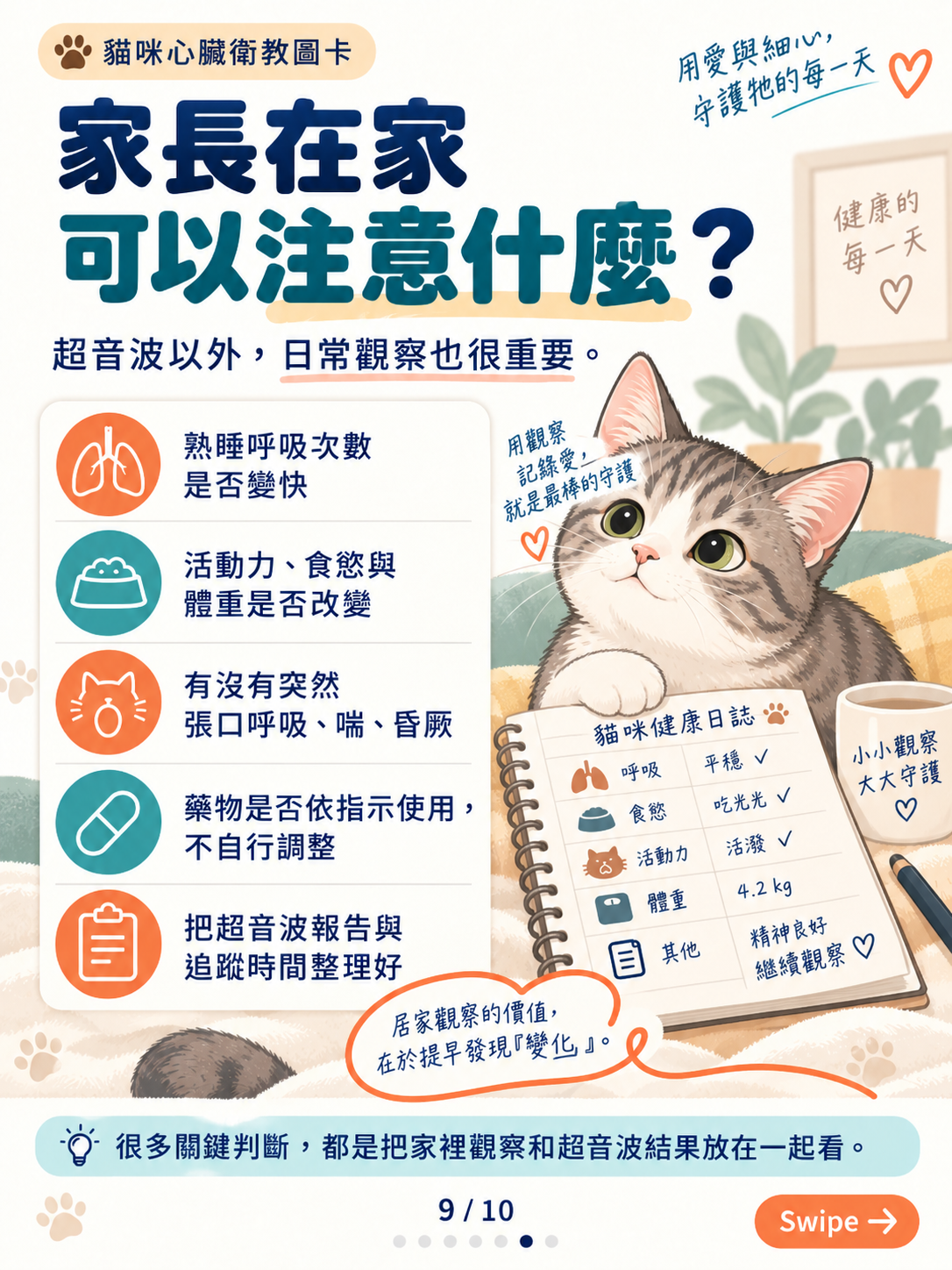 貓心肌病（二）｜厚度以外的線索，第 9 張：貓咪心臟健康居家觀察指南