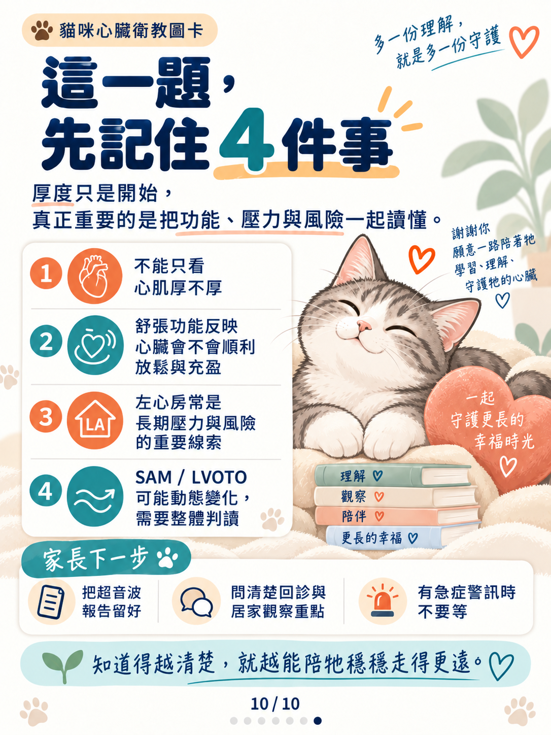 貓心肌病（二）｜厚度以外的線索，第 10 張：貓咪心臟照護四件事