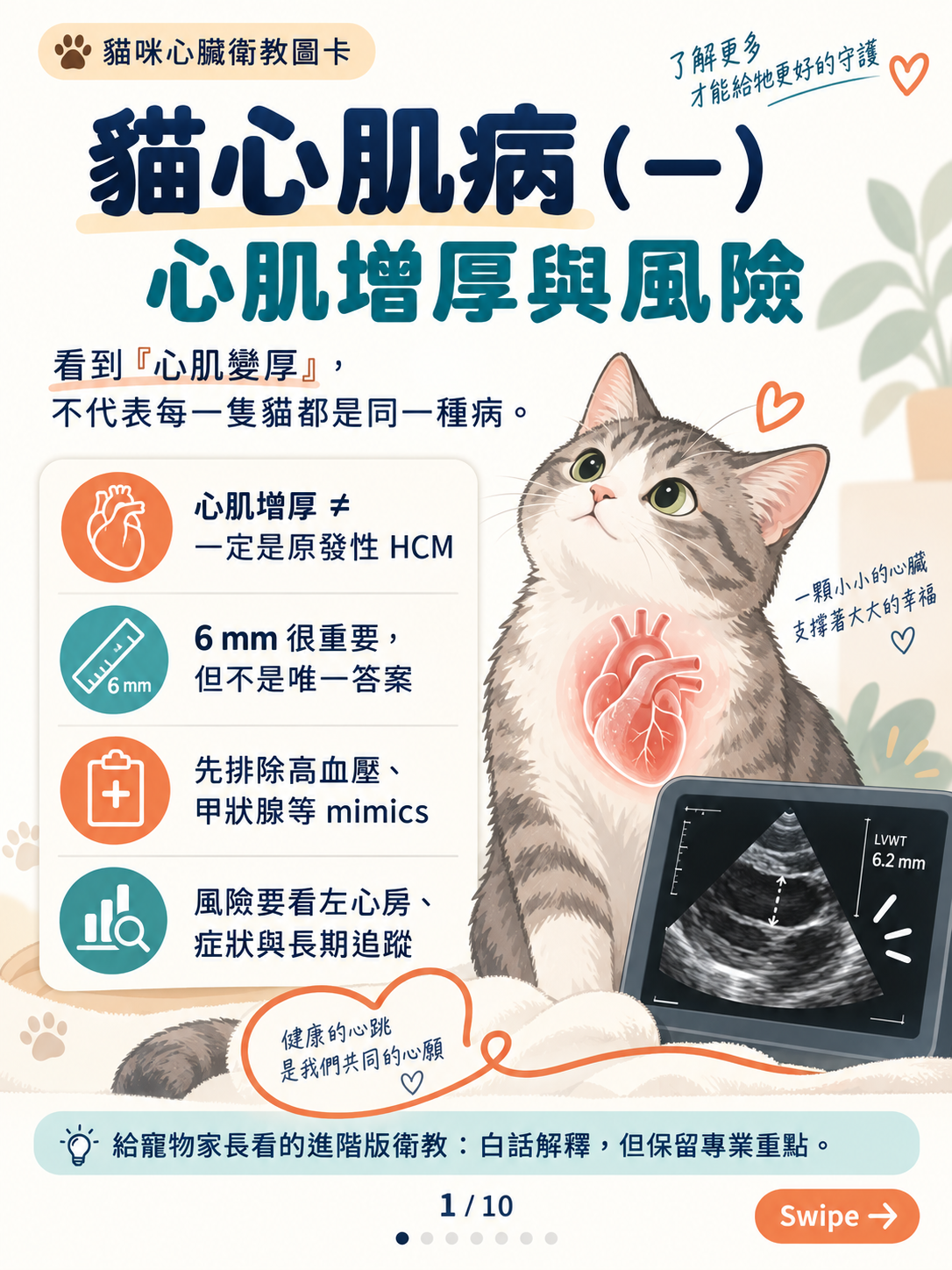 貓心肌病(一)|心肌增厚與風險封面圖卡