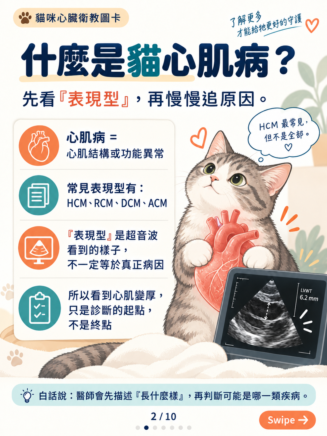 貓心肌病（一）｜心肌增厚與風險，第 2 張：貓咪心肌病衛教圖卡