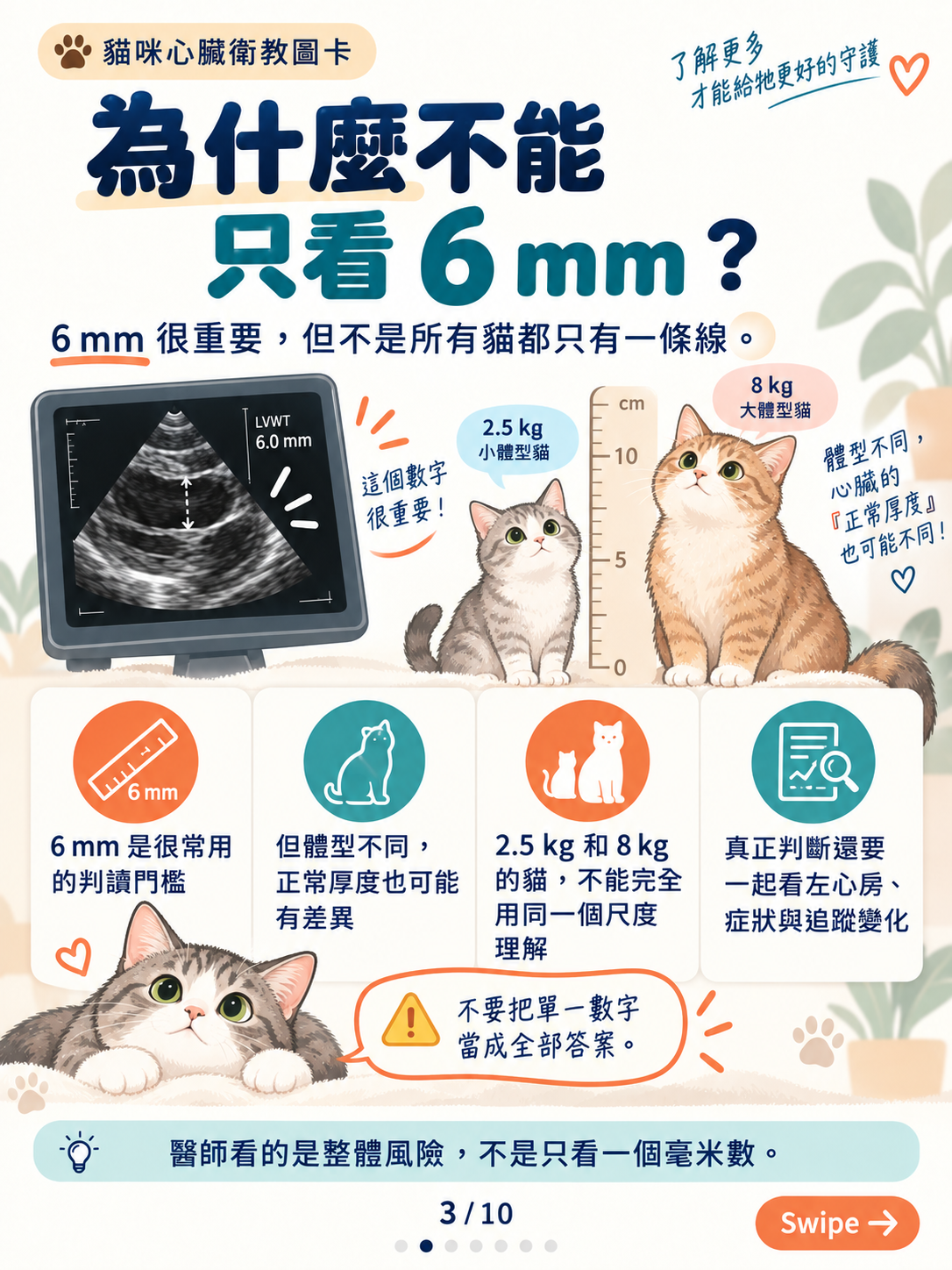 貓心肌病（一）｜心肌增厚與風險，第 3 張：別只看6毫米 貓咪心臟衛教圖卡