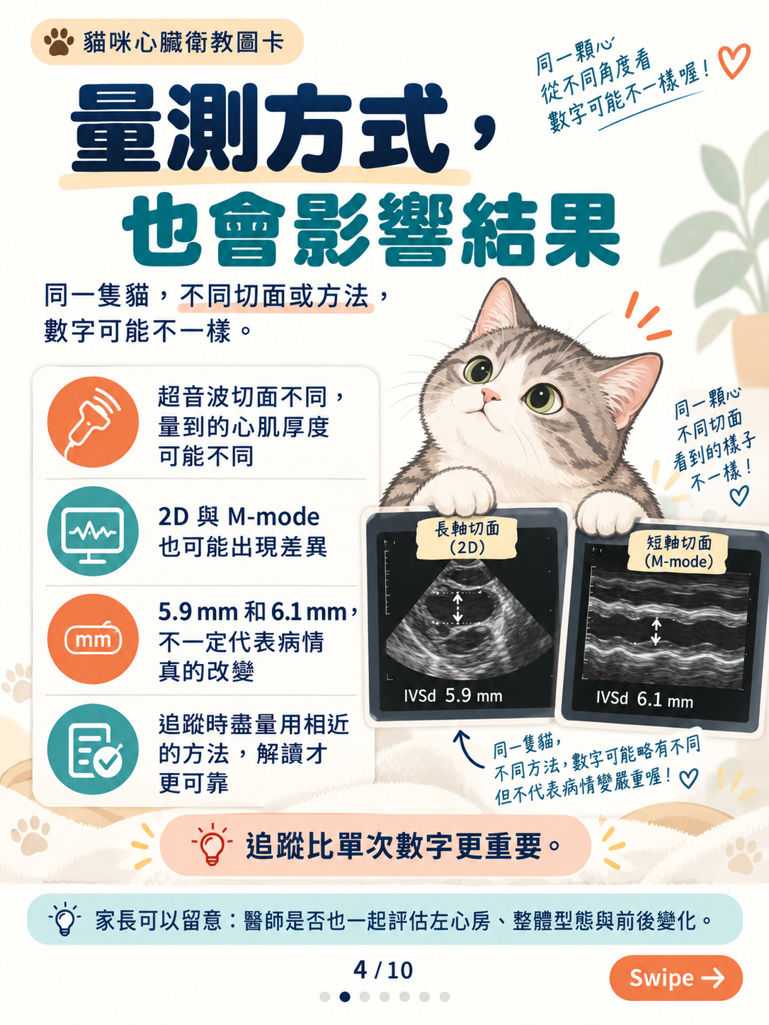 貓心肌病（一）｜心肌增厚與風險，第 4 張：貓咪心臟超音波量測小指南