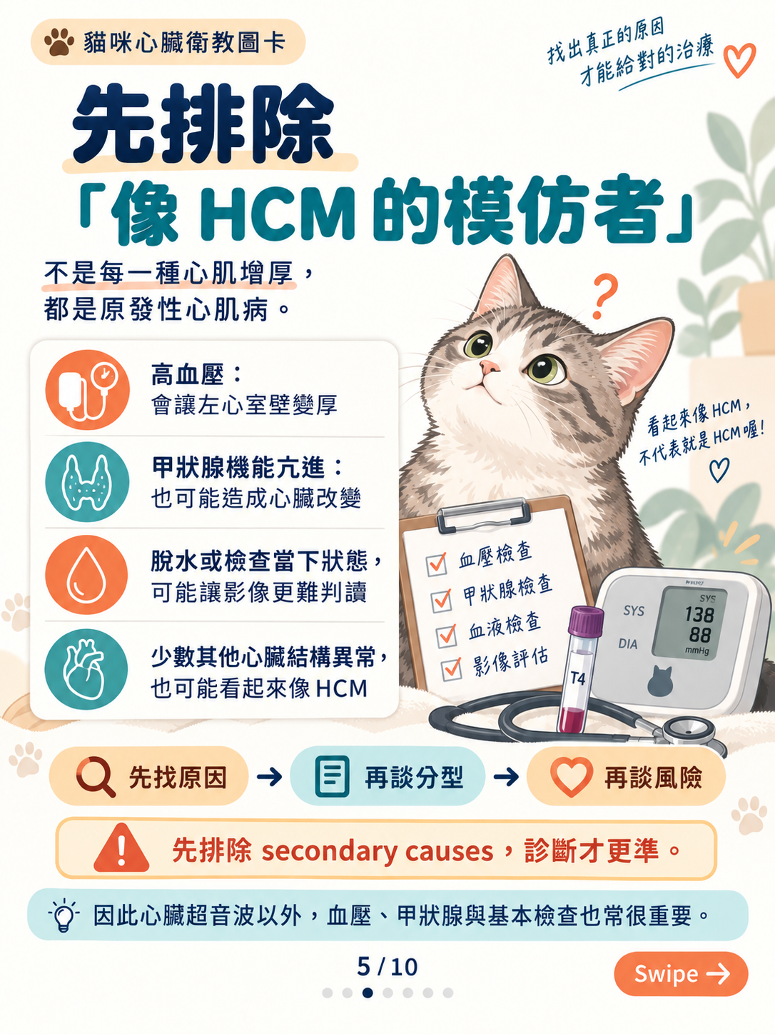 貓心肌病（一）｜心肌增厚與風險，第 5 張：先排除像 HCM 的模仿者