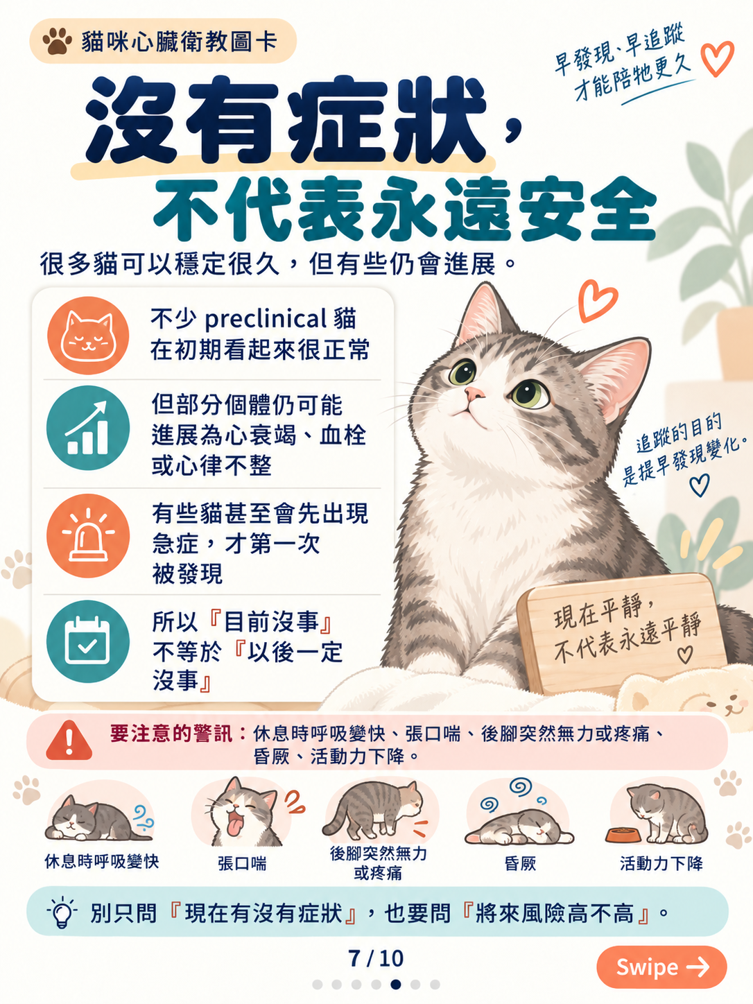 貓心肌病（一）｜心肌增厚與風險，第 7 張：無症狀不代表永遠安全
