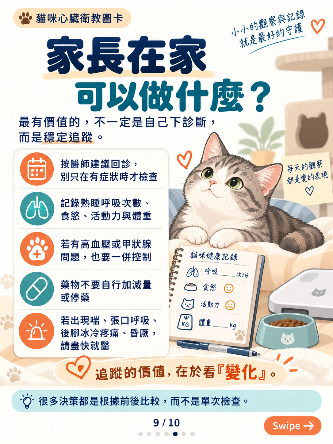 貓心肌病（一）｜心肌增厚與風險，第 9 張：貓咪心臟居家追蹤指南
