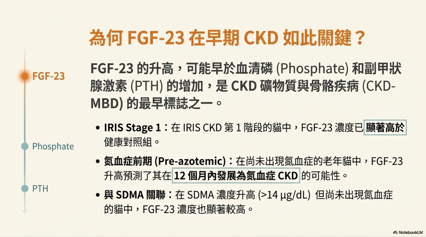 貓慢性腎臟病（CKD）的挑戰：我們能否更早一步？圖卡 4