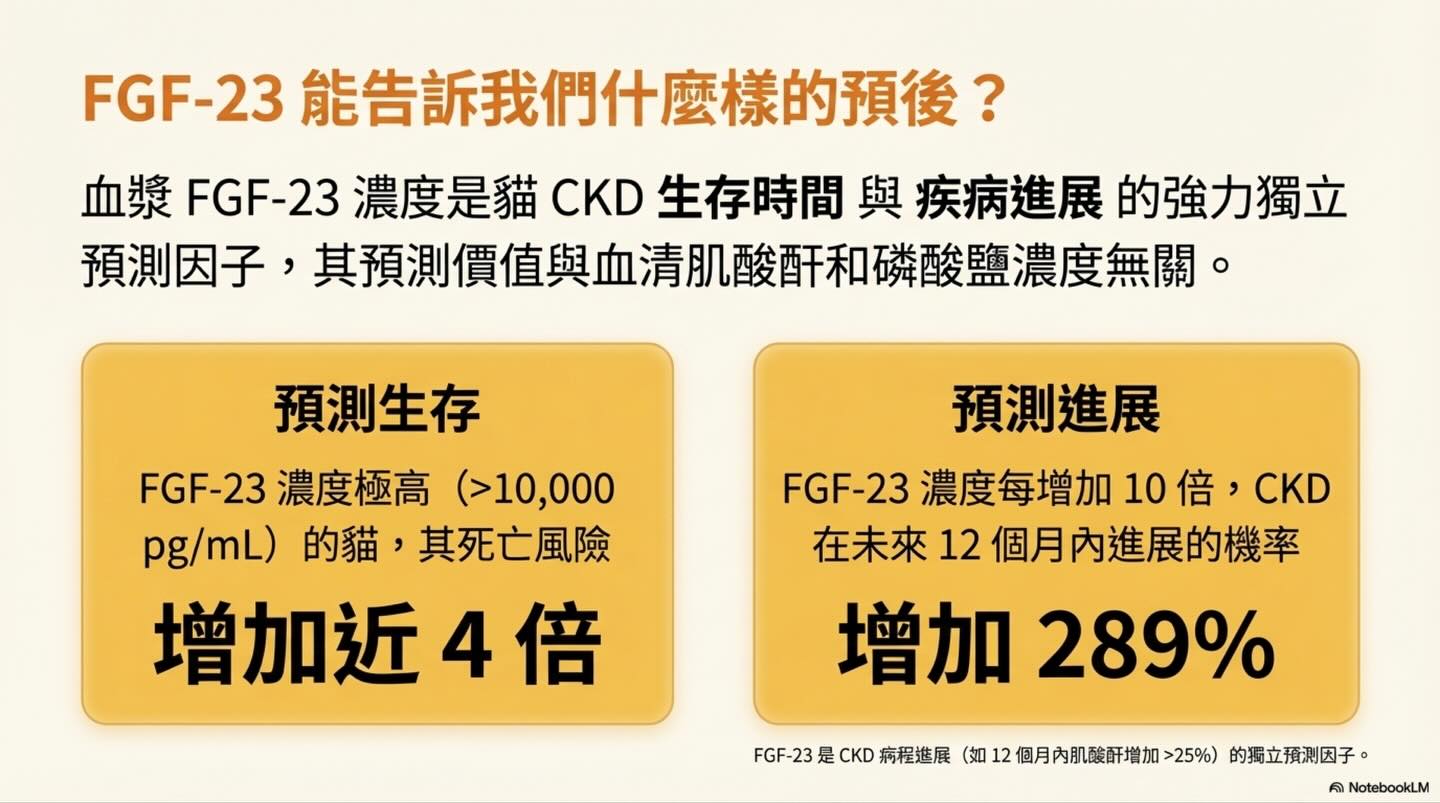 貓慢性腎臟病（CKD）的挑戰：我們能否更早一步？圖卡 5