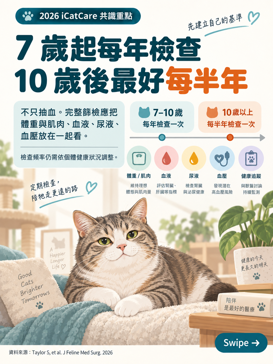 2026 iCatCare 貓慢性腎臟病共識圖卡 2：7歲起每年檢查，10歲後最好每半年