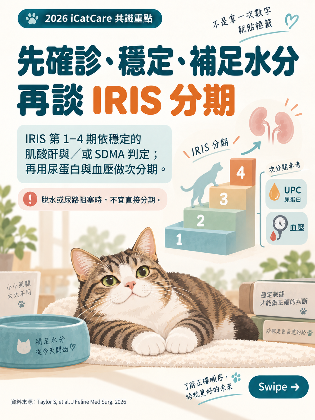 2026 iCatCare 貓慢性腎臟病共識圖卡 5：先確診穩定補足水分再談IRIS分期