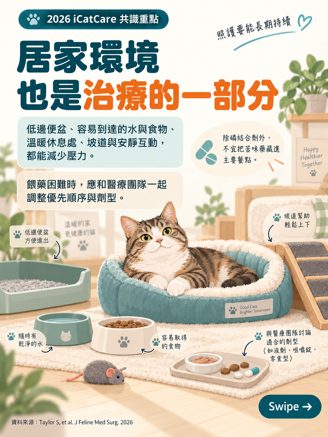 2026 iCatCare 貓慢性腎臟病共識圖卡 9：居家環境也是治療的一部分
