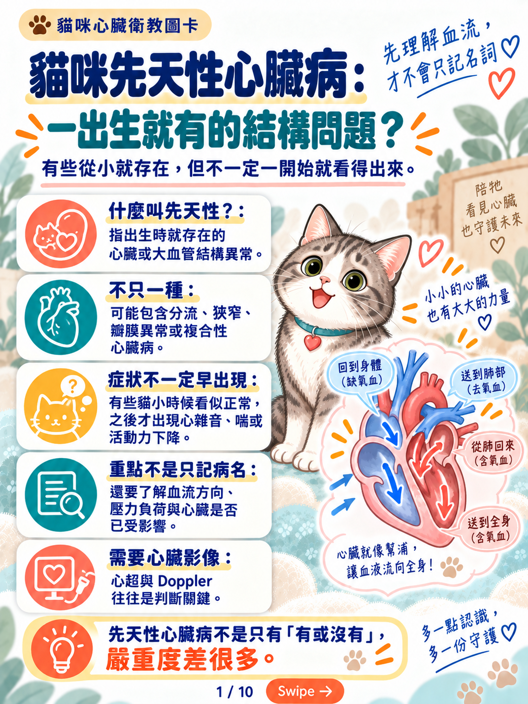 貓先天性心臟病與導管治療封面圖卡