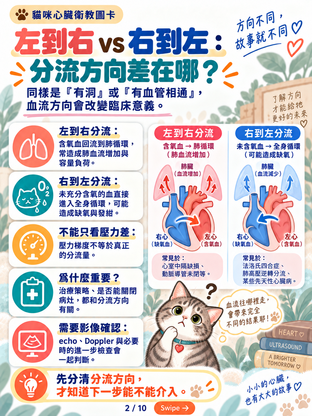 貓先天性心臟病與導管治療，第 2 張：左到右與右到左分流方向