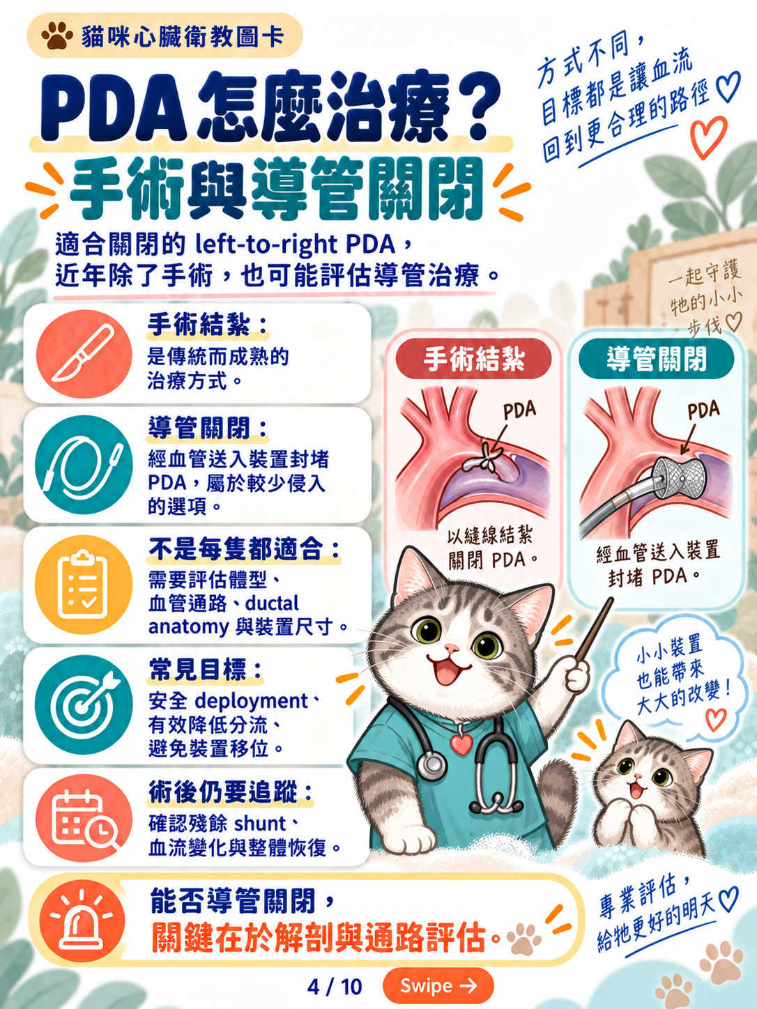 貓先天性心臟病與導管治療，第 4 張：PDA手術與導管關閉