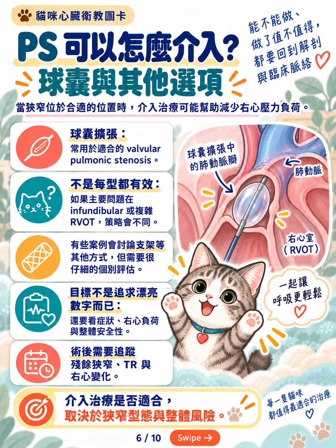 貓先天性心臟病與導管治療，第 6 張：PS介入治療球囊與其他選項