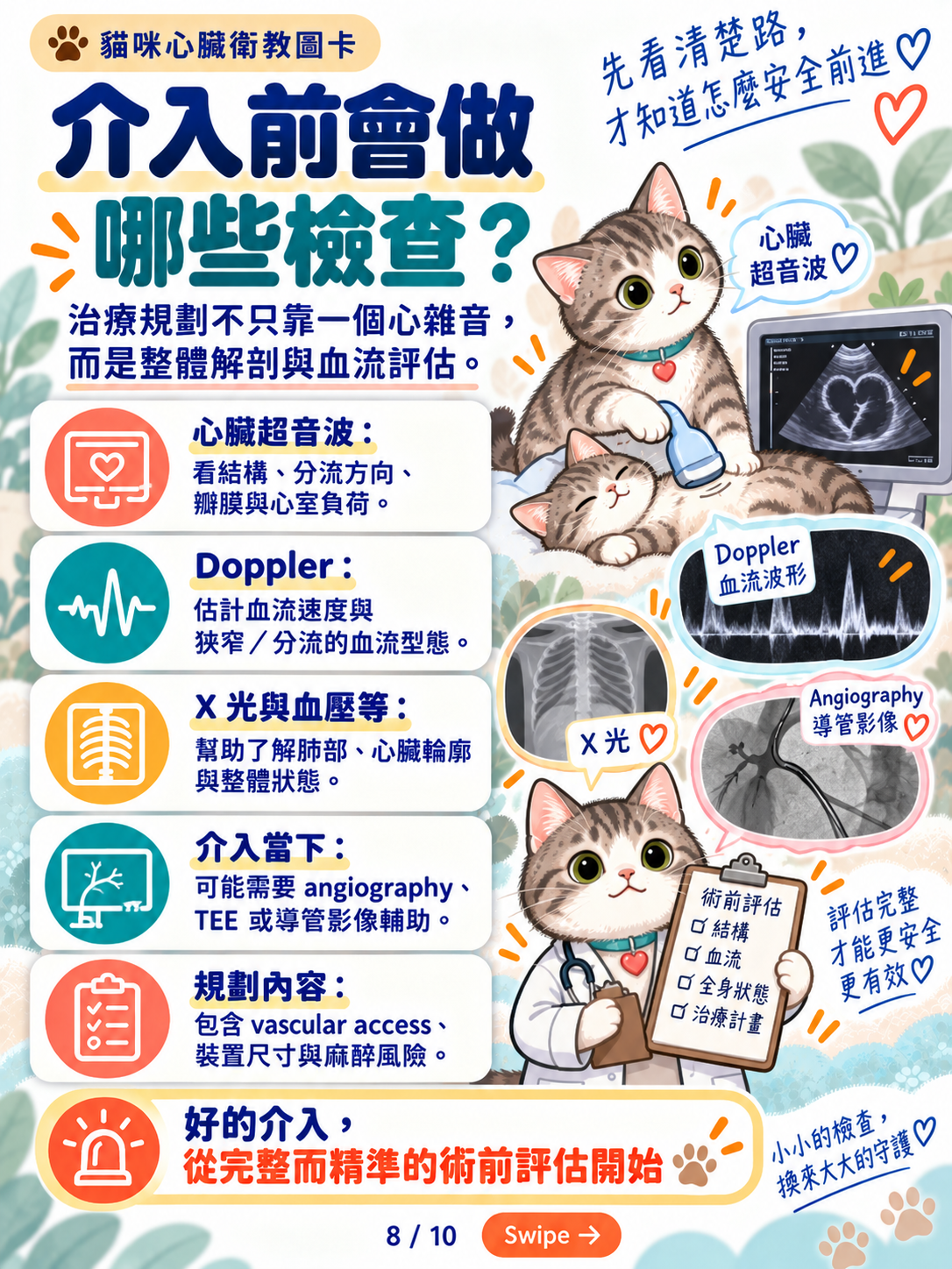 貓先天性心臟病與導管治療，第 8 張：介入前會做哪些檢查