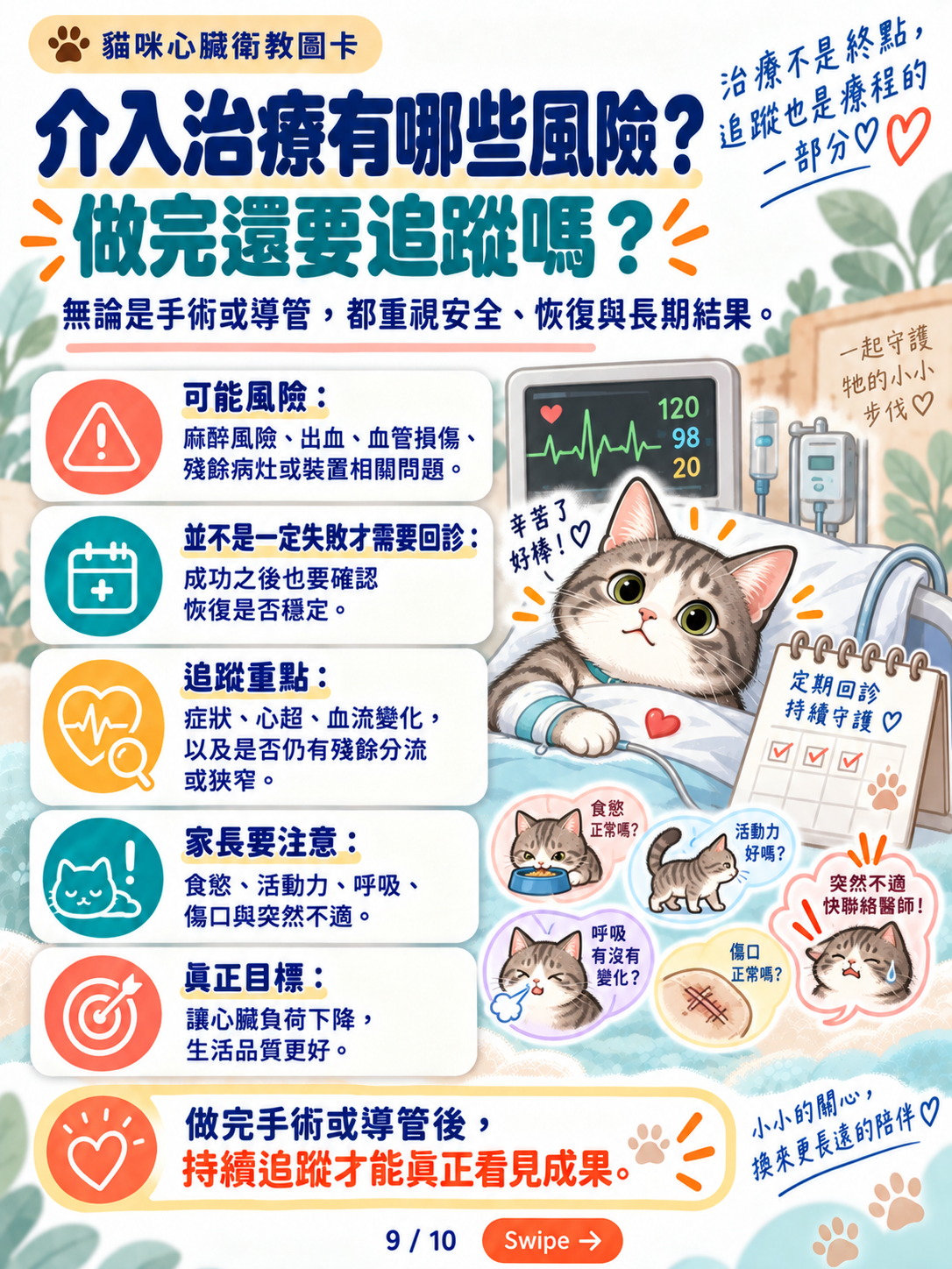 貓先天性心臟病與導管治療，第 9 張：介入治療風險與術後追蹤
