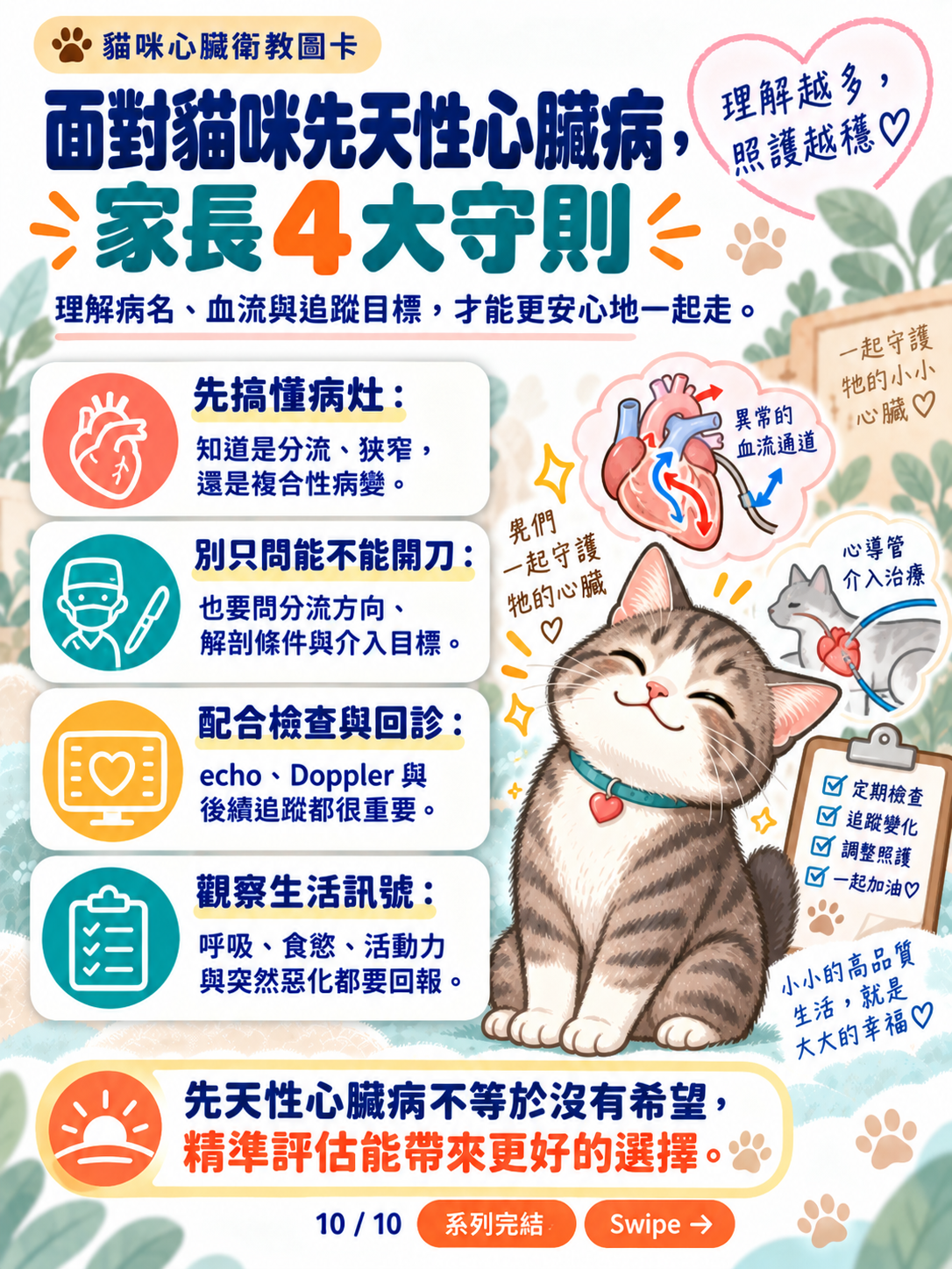 貓先天性心臟病與導管治療，第 10 張：面對貓咪先天性心臟病家長四大守則