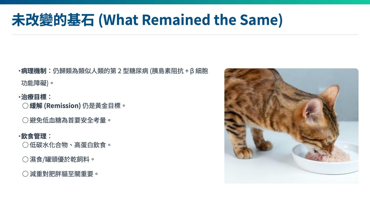 貓糖尿病管理新紀元：2018 AAHA vs 2025 iCatCare圖卡 3