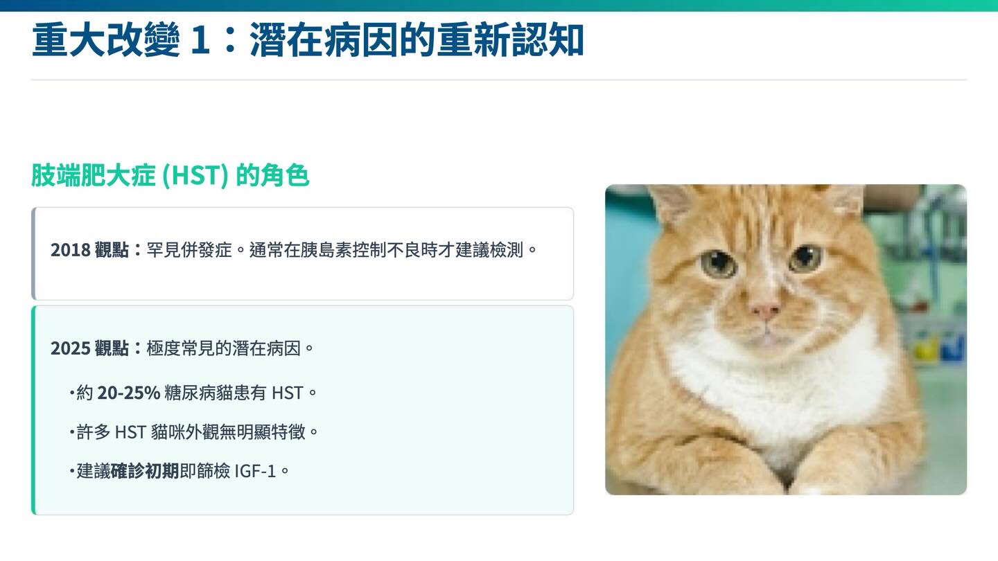 貓糖尿病管理新紀元：2018 AAHA vs 2025 iCatCare圖卡 4